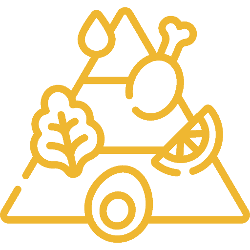 phuketfit-knowledge-nutritional-diet-structure-and-planning icon of nutritional food pyramid