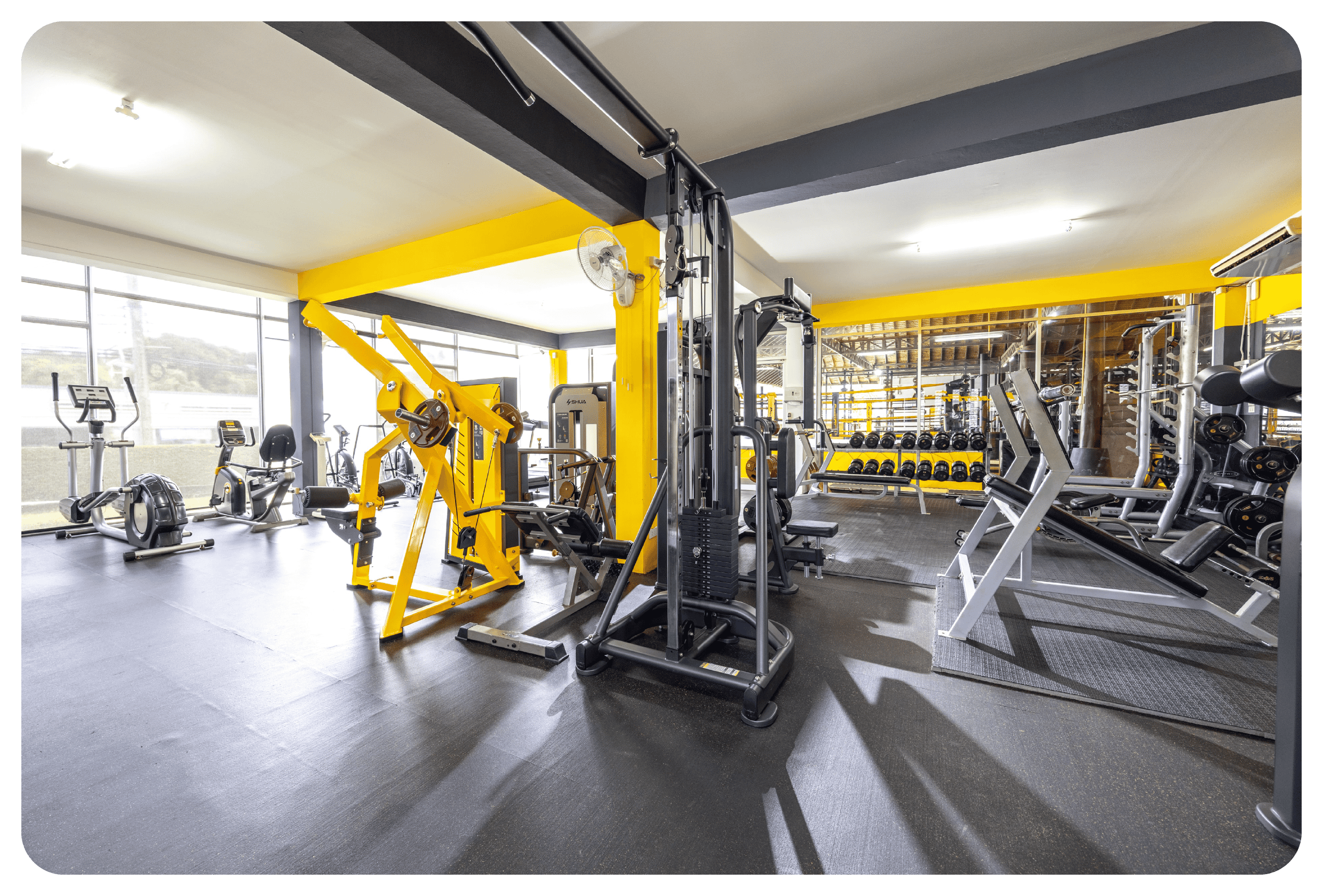 photo showcasing inside phuketfit fitness studio and equipment